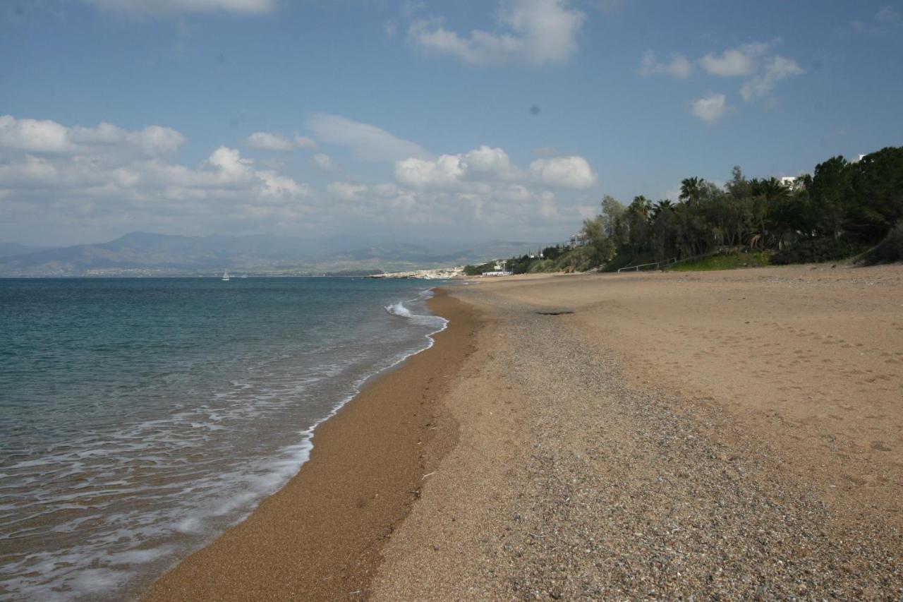 Beach Villa Gladiolus เนโอโชริโอ ภายนอก รูปภาพ